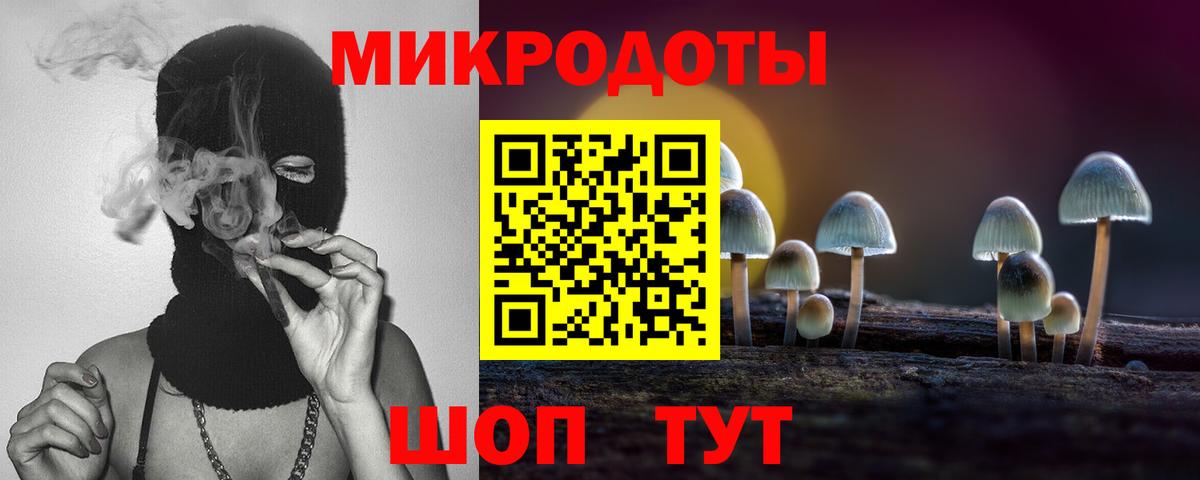 Галлюциногенные грибы Psilocybine cubensis Кизилюрт